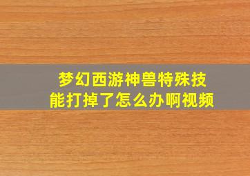 梦幻西游神兽特殊技能打掉了怎么办啊视频