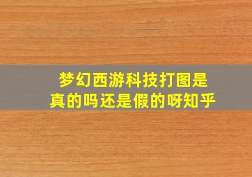 梦幻西游科技打图是真的吗还是假的呀知乎