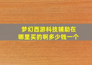 梦幻西游科技辅助在哪里买的啊多少钱一个