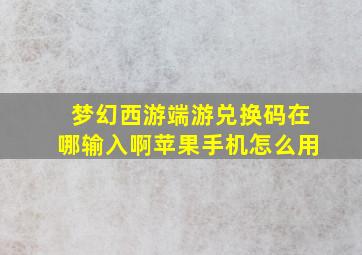 梦幻西游端游兑换码在哪输入啊苹果手机怎么用