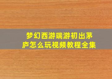 梦幻西游端游初出茅庐怎么玩视频教程全集