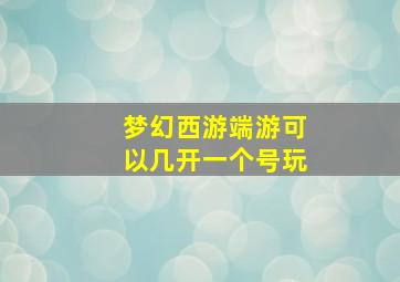 梦幻西游端游可以几开一个号玩