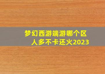 梦幻西游端游哪个区人多不卡还火2023