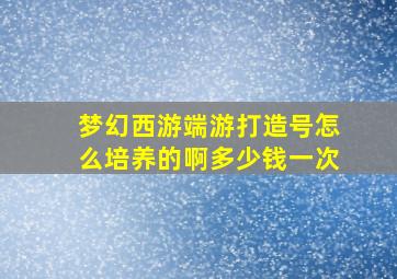 梦幻西游端游打造号怎么培养的啊多少钱一次