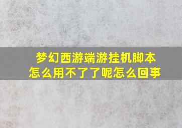 梦幻西游端游挂机脚本怎么用不了了呢怎么回事