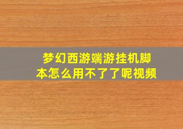 梦幻西游端游挂机脚本怎么用不了了呢视频