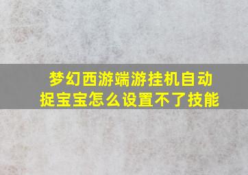 梦幻西游端游挂机自动捉宝宝怎么设置不了技能