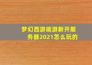 梦幻西游端游新开服务器2021怎么玩的