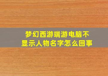 梦幻西游端游电脑不显示人物名字怎么回事