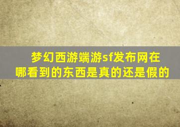 梦幻西游端游sf发布网在哪看到的东西是真的还是假的