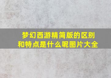 梦幻西游精简版的区别和特点是什么呢图片大全