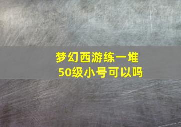 梦幻西游练一堆50级小号可以吗