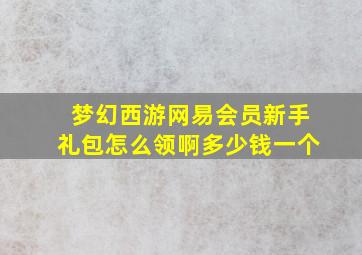 梦幻西游网易会员新手礼包怎么领啊多少钱一个