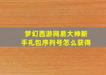 梦幻西游网易大神新手礼包序列号怎么获得