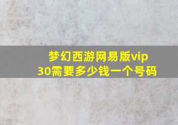 梦幻西游网易版vip30需要多少钱一个号码