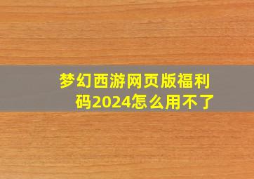 梦幻西游网页版福利码2024怎么用不了