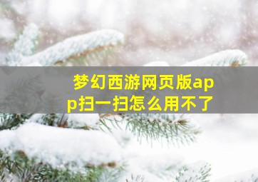 梦幻西游网页版app扫一扫怎么用不了