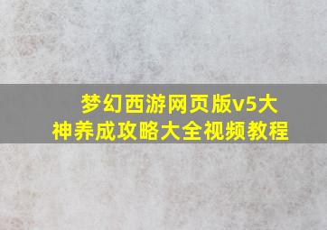 梦幻西游网页版v5大神养成攻略大全视频教程