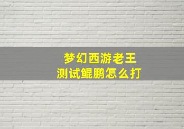 梦幻西游老王测试鲲鹏怎么打