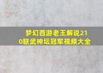 梦幻西游老王解说210联武神坛冠军视频大全