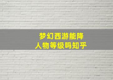 梦幻西游能降人物等级吗知乎