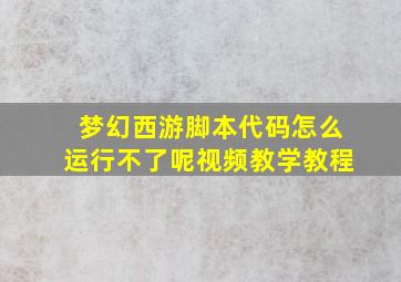 梦幻西游脚本代码怎么运行不了呢视频教学教程