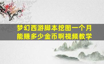 梦幻西游脚本挖图一个月能赚多少金币啊视频教学