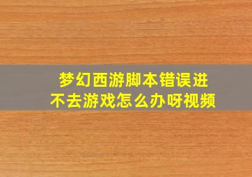 梦幻西游脚本错误进不去游戏怎么办呀视频