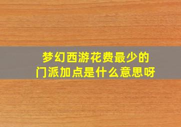 梦幻西游花费最少的门派加点是什么意思呀