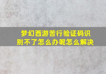 梦幻西游苦行验证码识别不了怎么办呢怎么解决