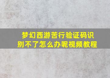 梦幻西游苦行验证码识别不了怎么办呢视频教程