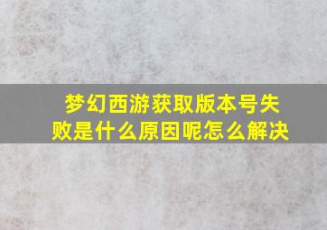 梦幻西游获取版本号失败是什么原因呢怎么解决