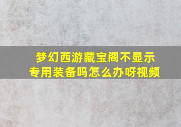 梦幻西游藏宝阁不显示专用装备吗怎么办呀视频