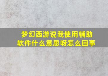 梦幻西游说我使用辅助软件什么意思呀怎么回事