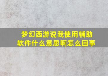 梦幻西游说我使用辅助软件什么意思啊怎么回事