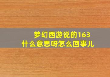 梦幻西游说的163什么意思呀怎么回事儿