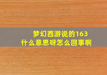 梦幻西游说的163什么意思呀怎么回事啊