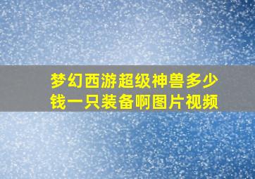 梦幻西游超级神兽多少钱一只装备啊图片视频