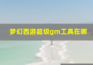 梦幻西游超级gm工具在哪