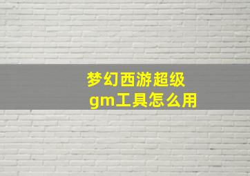 梦幻西游超级gm工具怎么用