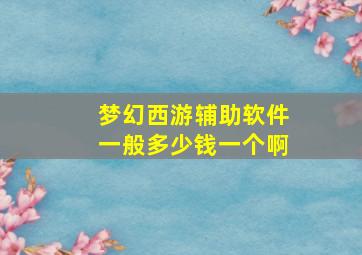 梦幻西游辅助软件一般多少钱一个啊