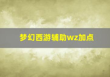 梦幻西游辅助wz加点