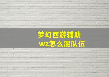 梦幻西游辅助wz怎么混队伍