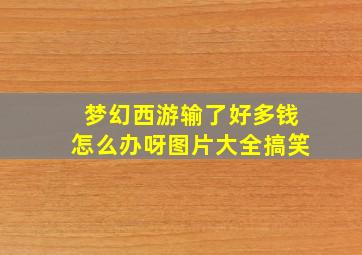 梦幻西游输了好多钱怎么办呀图片大全搞笑