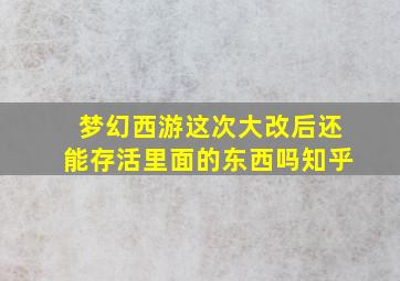 梦幻西游这次大改后还能存活里面的东西吗知乎