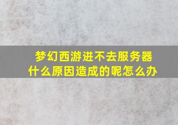 梦幻西游进不去服务器什么原因造成的呢怎么办