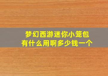 梦幻西游迷你小笼包有什么用啊多少钱一个