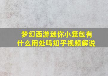 梦幻西游迷你小笼包有什么用处吗知乎视频解说