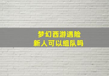 梦幻西游遇险新人可以组队吗