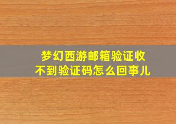 梦幻西游邮箱验证收不到验证码怎么回事儿